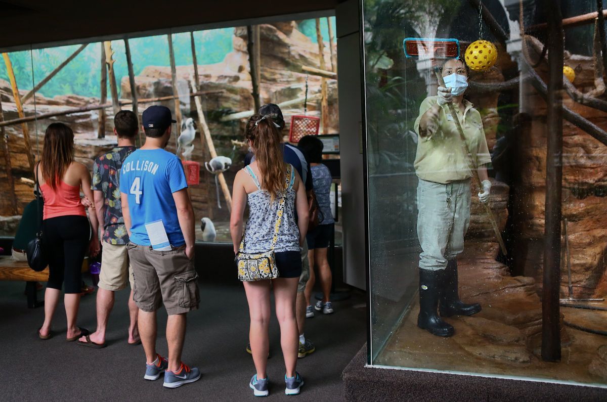 A celebration of zookeepers